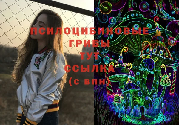 соль ск Алексеевка