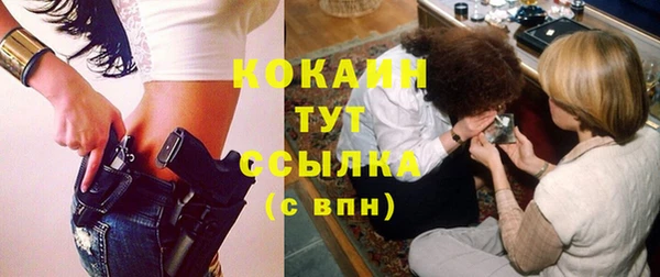 соль ск Алексеевка